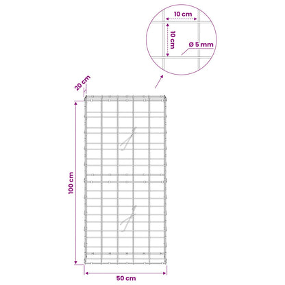 Gabion with 5 mm Wire and 10x10 cm Mesh 50x20x100 cm