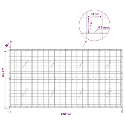 Gabion with 5 mm Wire and 10x10 cm Mesh 200x20x100 cm