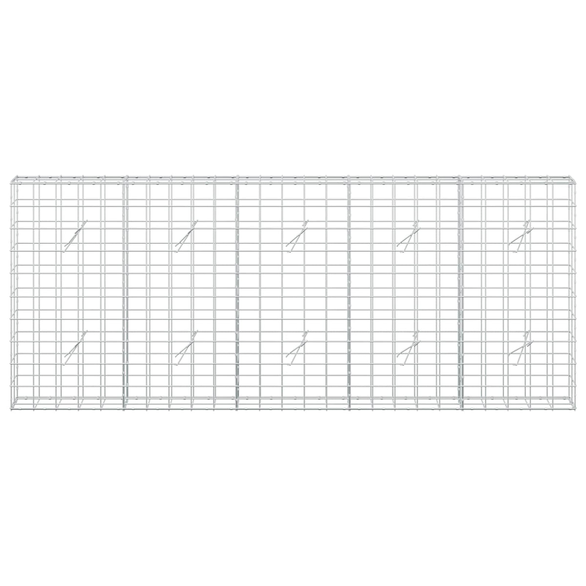 Gabion with 5 mm Wire and 10x10 cm Mesh 250x20x100 cm