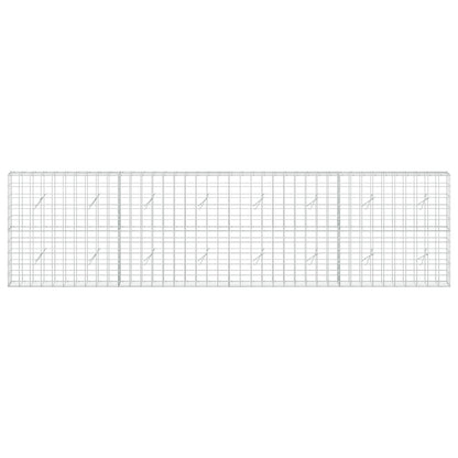 Gabion with 5 mm Wire and 10x10 cm Mesh 400x20x100 cm