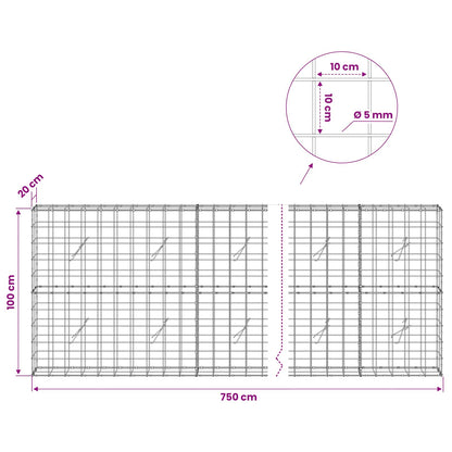 Gabion with 5 mm Wire and 10x10 cm Mesh 750x20x100 cm