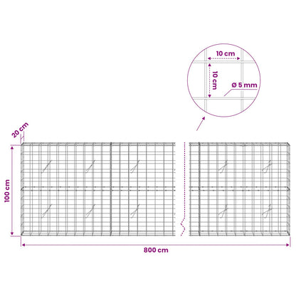 Gabion with 5 mm Wire and 10x10 cm Mesh 800x20x100 cm