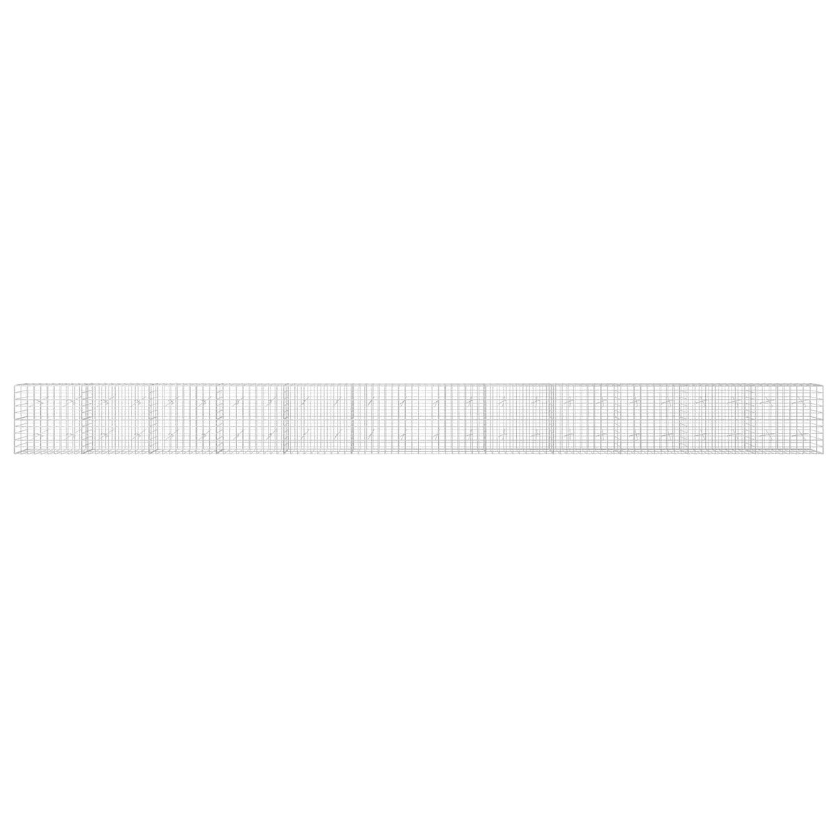 Gabion with 5 mm Wire and 10x10 cm Mesh 1200x20x100 cm