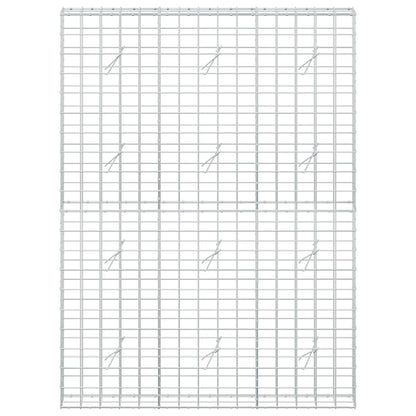 Gabion with 5 mm Wire and 10x10 cm Mesh 150x20x200 cm