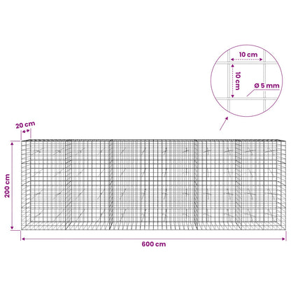 Gabion with 5 mm Wire and 10x10 cm Mesh 600x20x200 cm