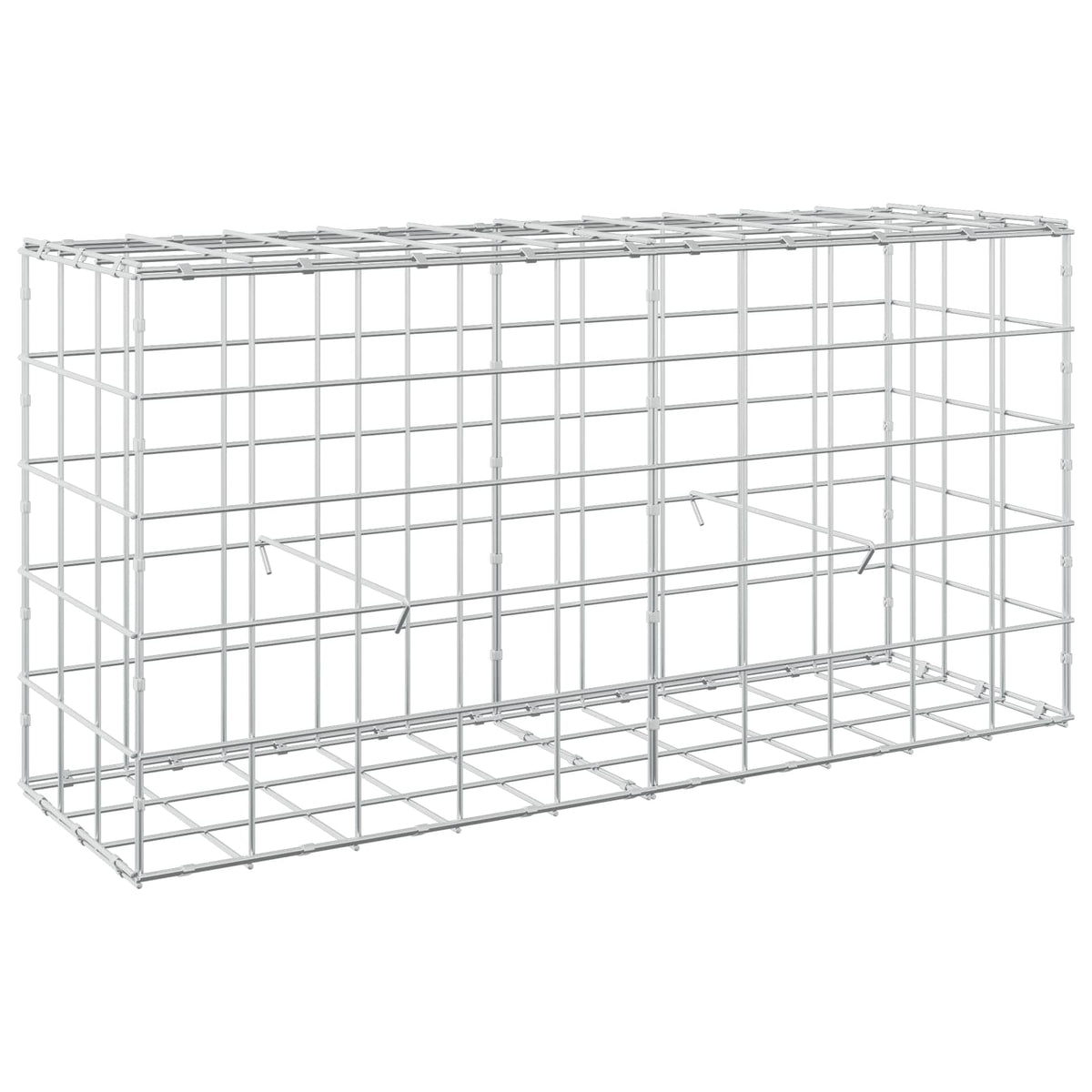 Gabion with 5 mm Wire and 10x10 cm Mesh 100x30x50 cm
