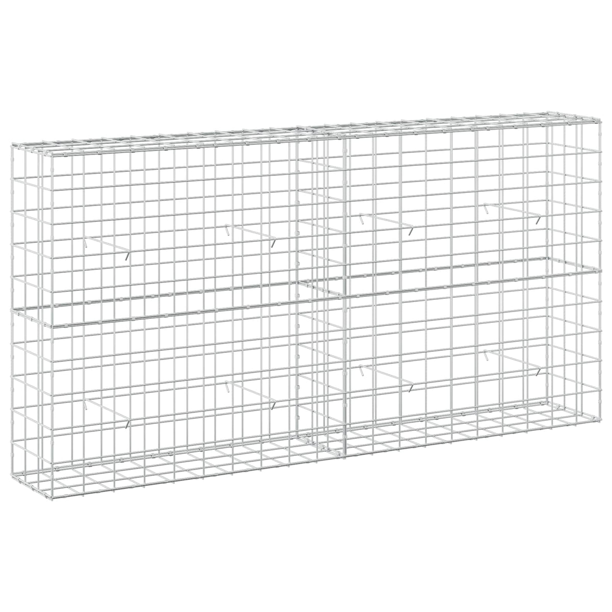 Gabion with 5 mm Wire and 10x10 cm Mesh 200x30x100 cm