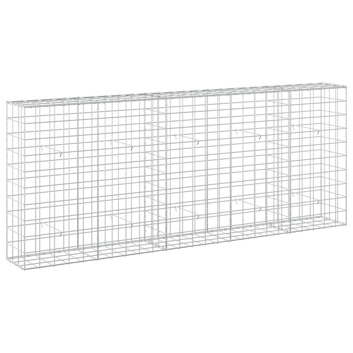 Gabion with 5 mm Wire and 10x10 cm Mesh 250x30x100 cm
