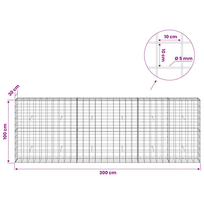 Gabion with 5 mm Wire and 10x10 cm Mesh 300x30x100 cm