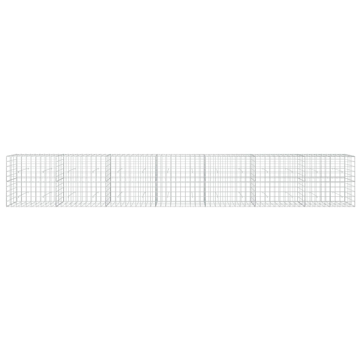 Gabion with 5 mm Wire and 10x10 cm Mesh 700x30x100 cm