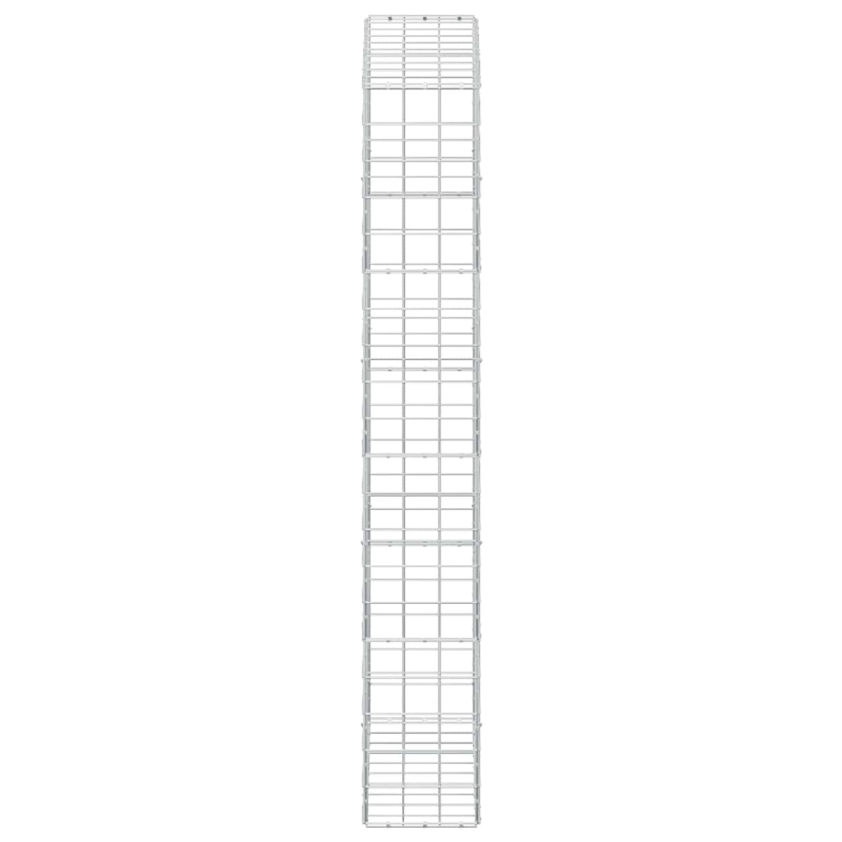 Gabion with 5 mm Wire and 10x10 cm Mesh 100x30x200 cm