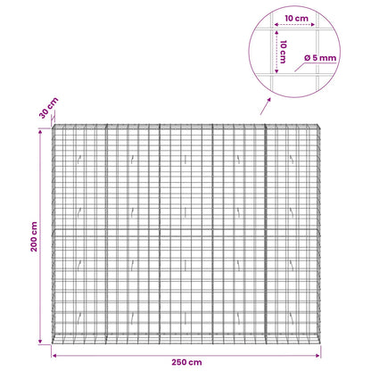 Gabion with 5 mm Wire and 10x10 cm Mesh 250x30x200 cm