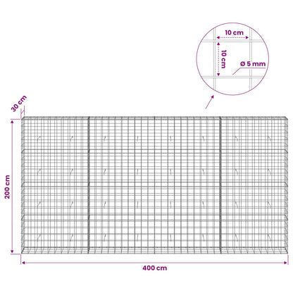 Gabion with 5 mm Wire and 10x10 cm Mesh 400x30x200 cm