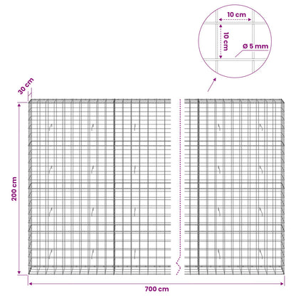 Gabion with 5 mm Wire and 10x10 cm Mesh 700x30x200 cm
