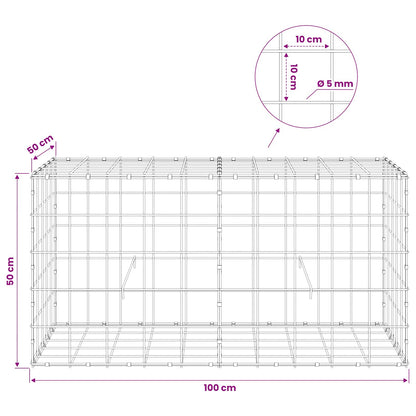 Gabion with 5 mm Wire and 10x10 cm Mesh 100x50x50 cm