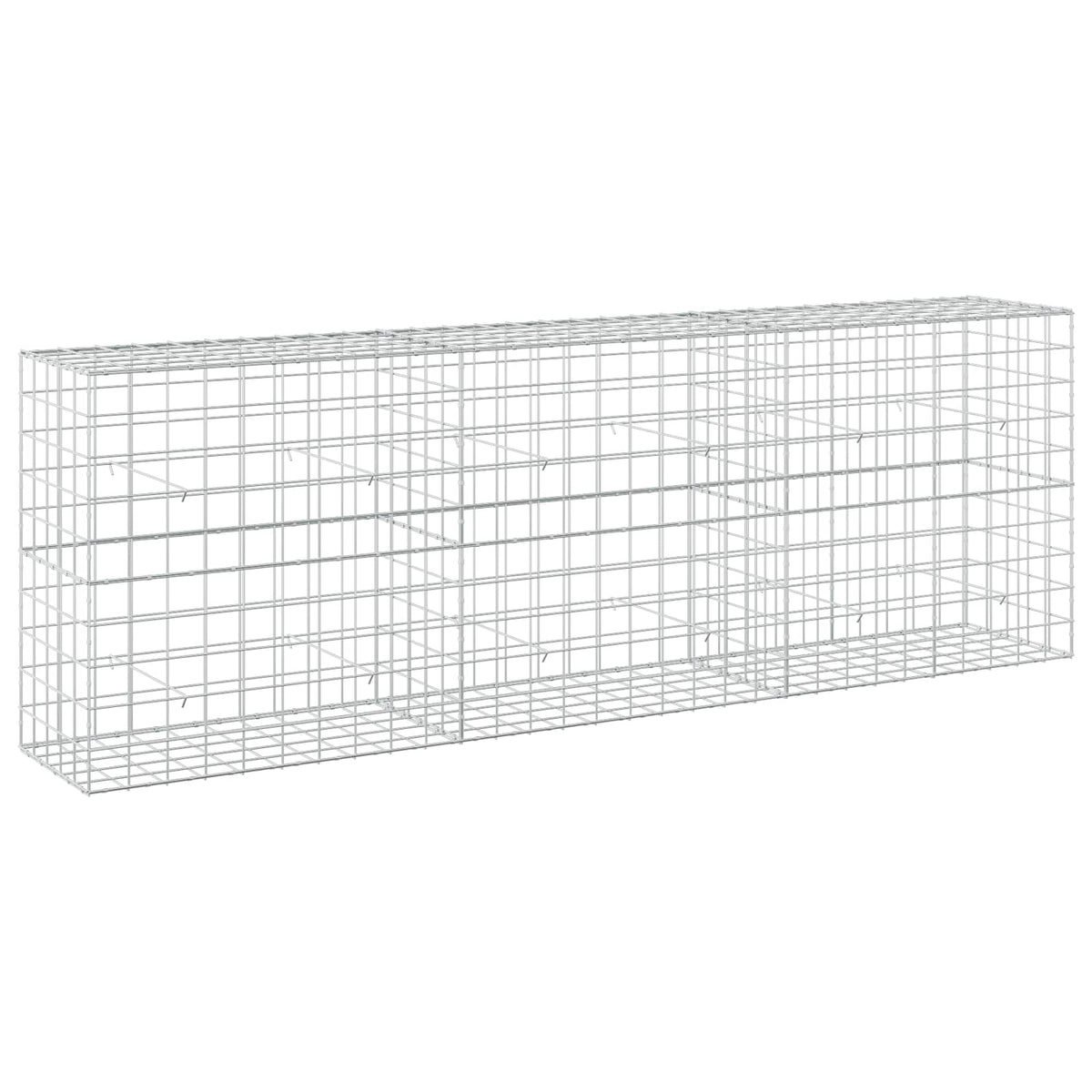 Gabion with 5 mm Wire and 10x10 cm Mesh 300x50x100 cm