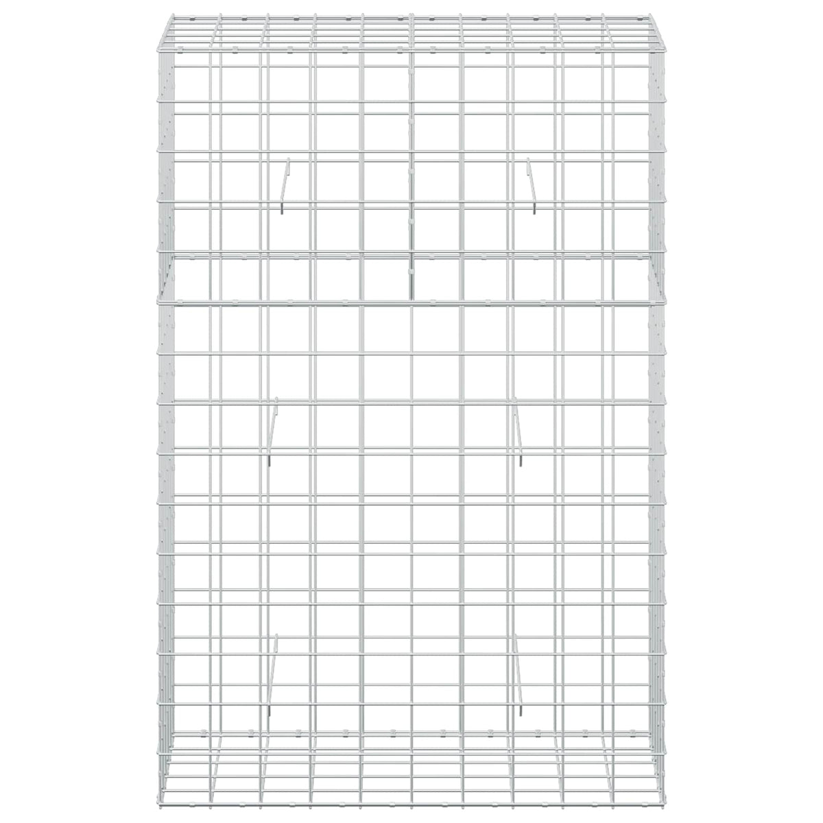 Gabion with 5 mm Wire and 10x10 cm Mesh 100x50x150 cm