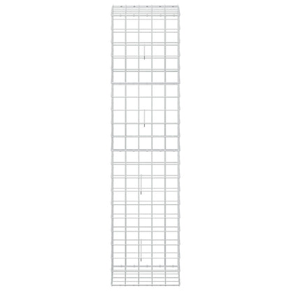 Gabion with 5 mm Wire and 10x10 cm Mesh 50x50x200 cm