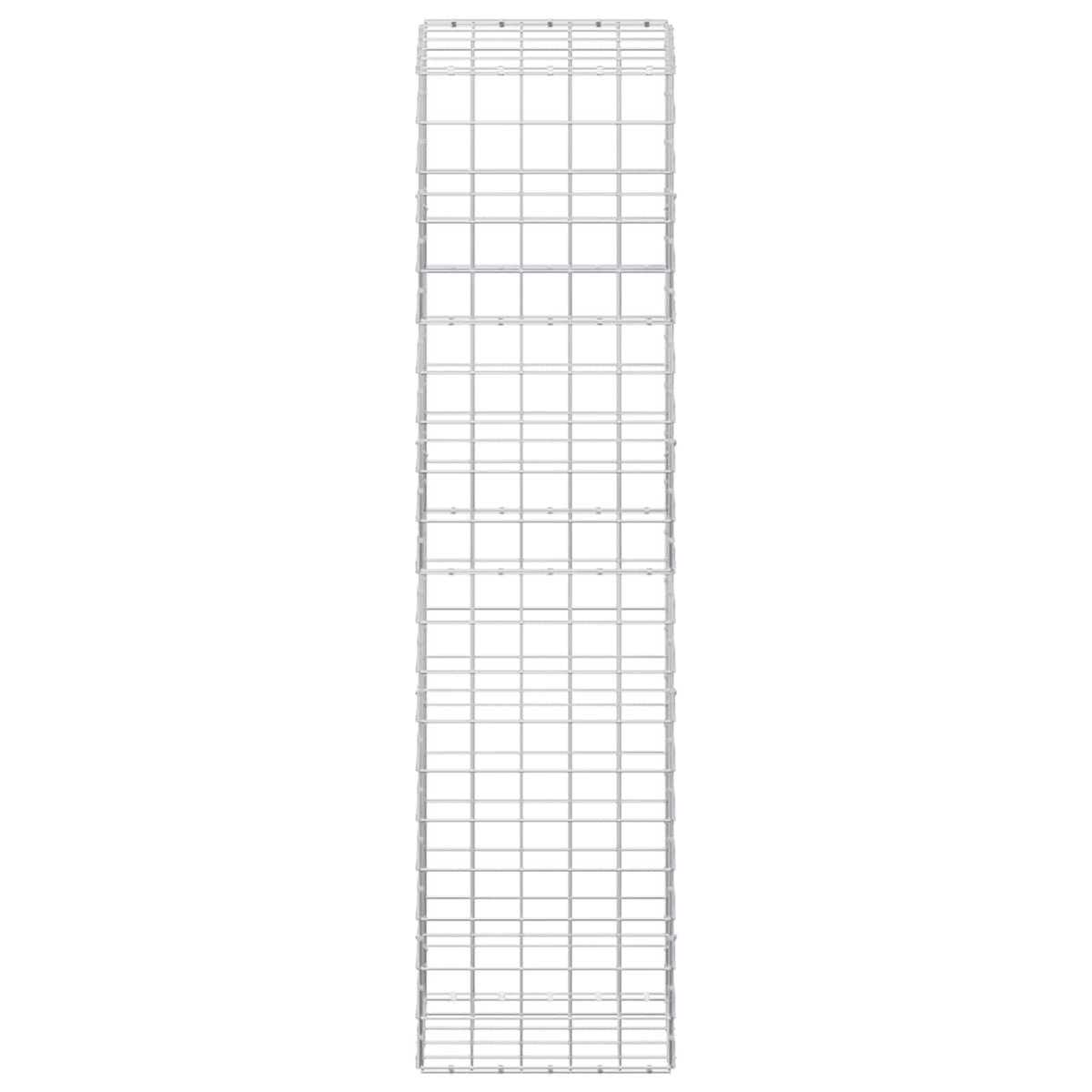 Gabion with 5 mm Wire and 10x10 cm Mesh 50x50x200 cm