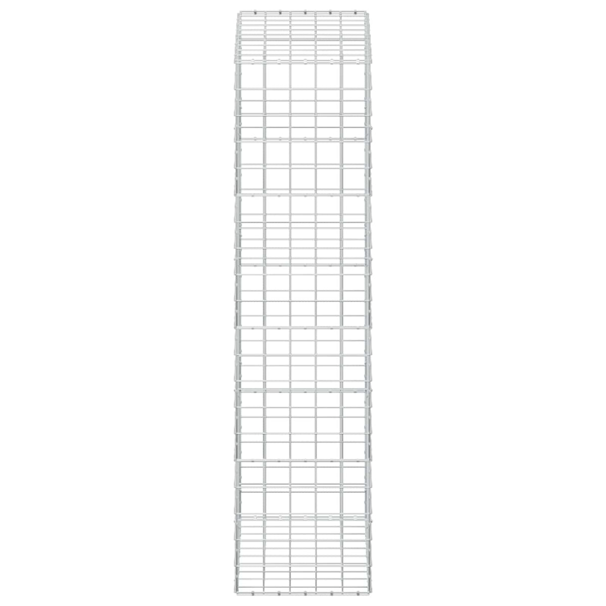Gabion with 5 mm Wire and 10x10 cm Mesh 100x50x200 cm