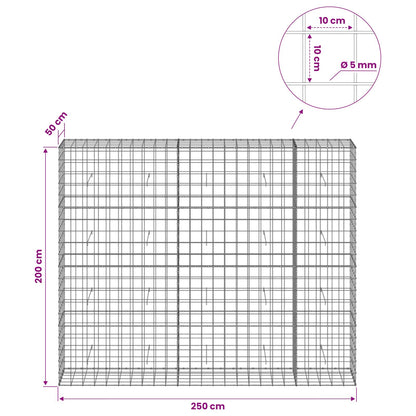 Gabion with 5 mm Wire and 10x10 cm Mesh 250x50x200 cm