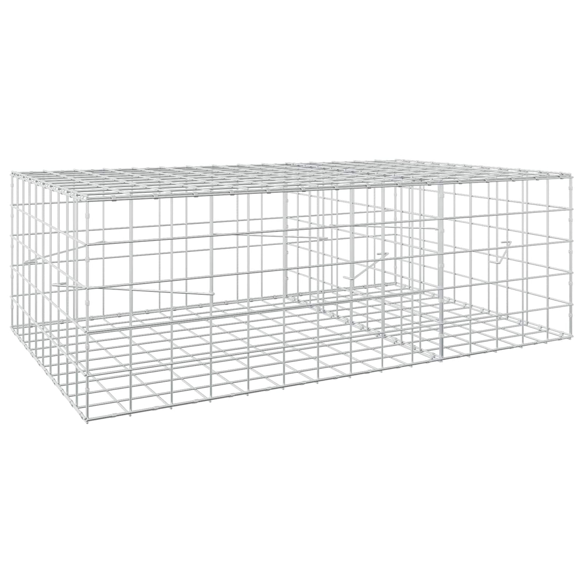 Gabion with 5 mm Wire and 10x10 cm Mesh 150x100x50 cm