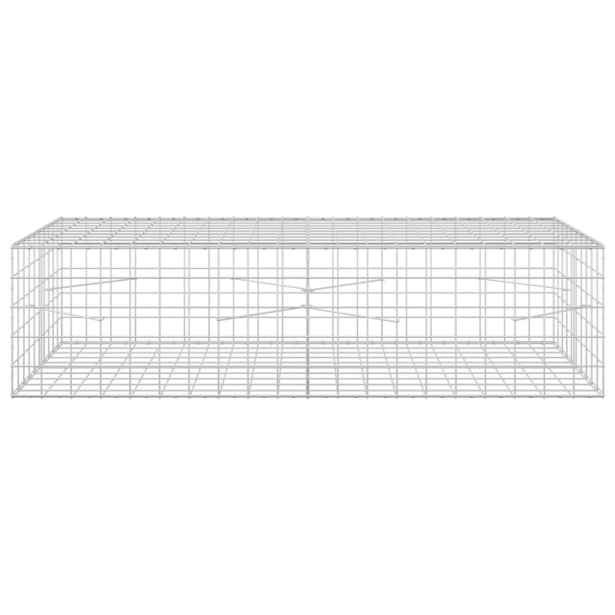 Gabion with 5 mm Wire and 10x10 cm Mesh 200x100x50 cm