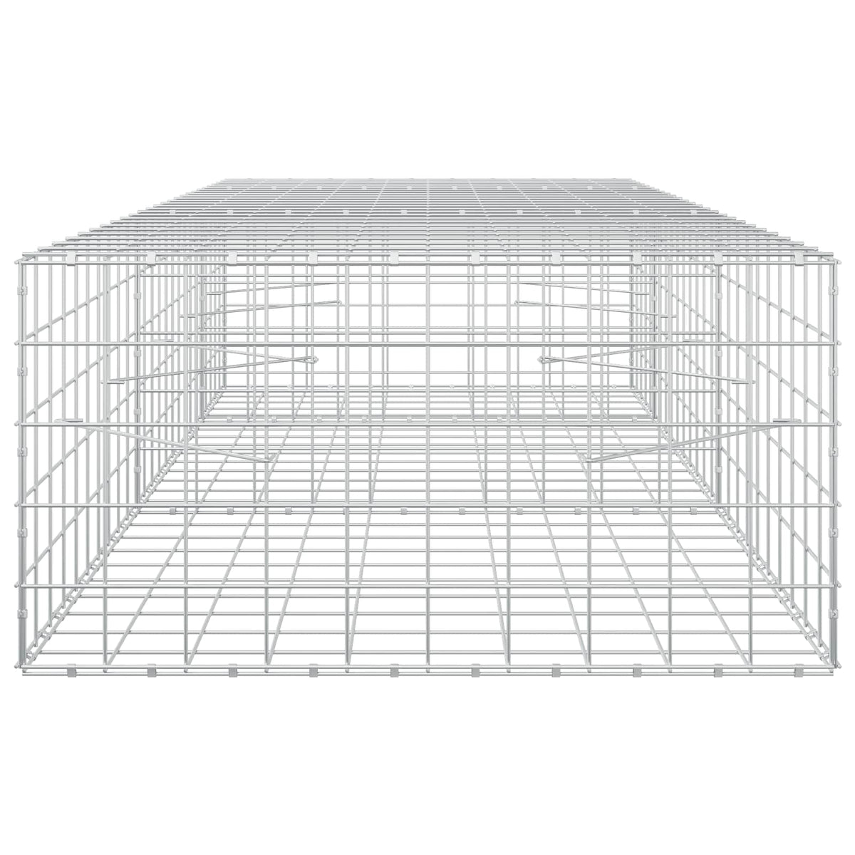 Gabion with 5 mm Wire and 10x10 cm Mesh 250x100x50 cm