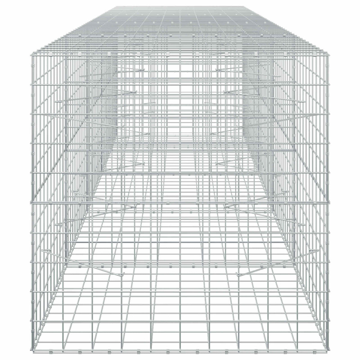 Gabion with 5 mm Wire and 10x10 cm Mesh 450x100x100 cm