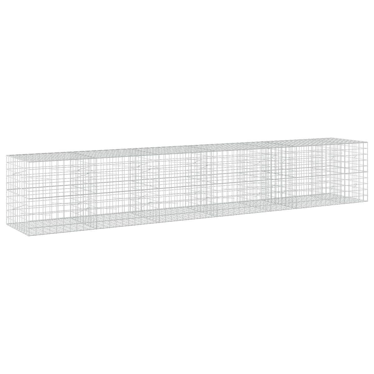 Gabion with 5 mm Wire and 10x10 cm Mesh 550x100x100 cm