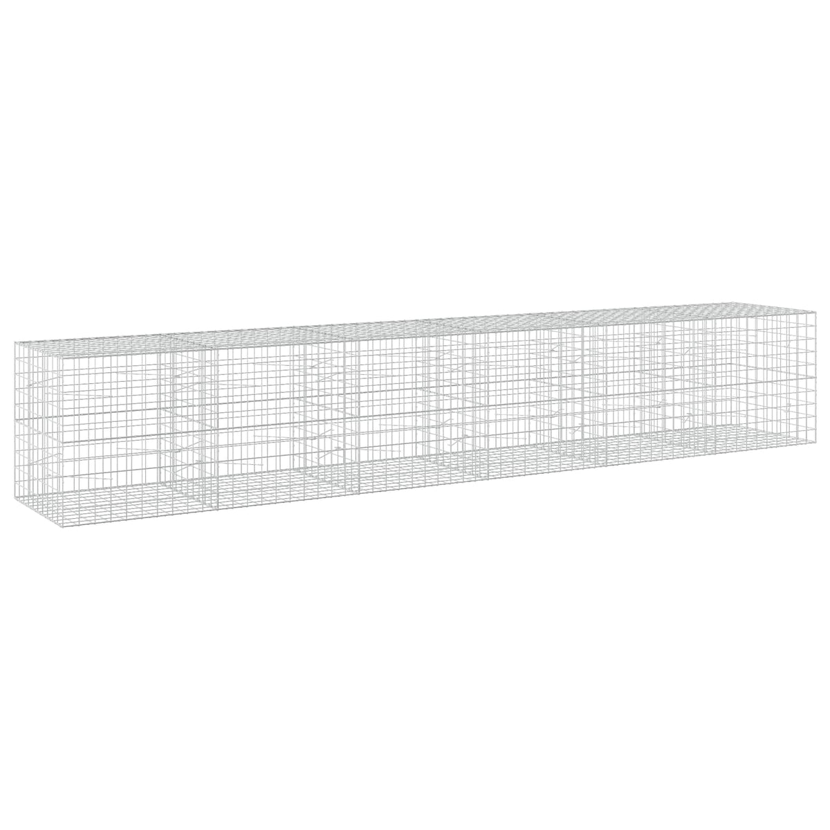 Gabion with 5 mm Wire and 10x10 cm Mesh 600x100x100 cm