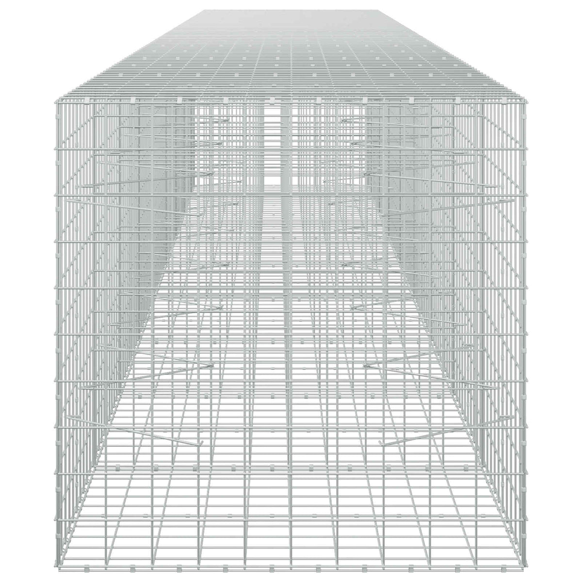 Gabion with 5 mm Wire and 10x10 cm Mesh 850x100x100 cm