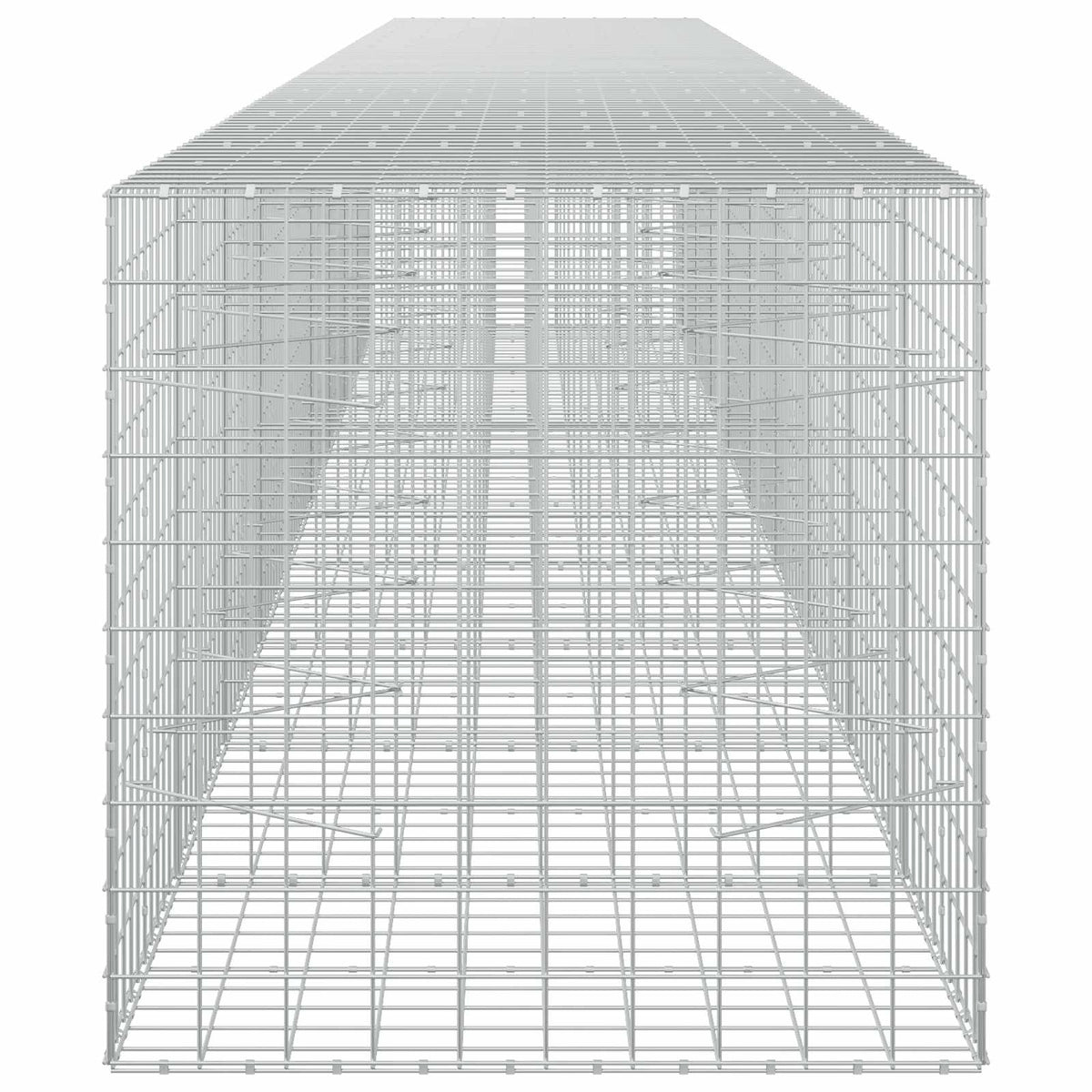 Gabion with 5 mm Wire and 10x10 cm Mesh 950x100x100 cm