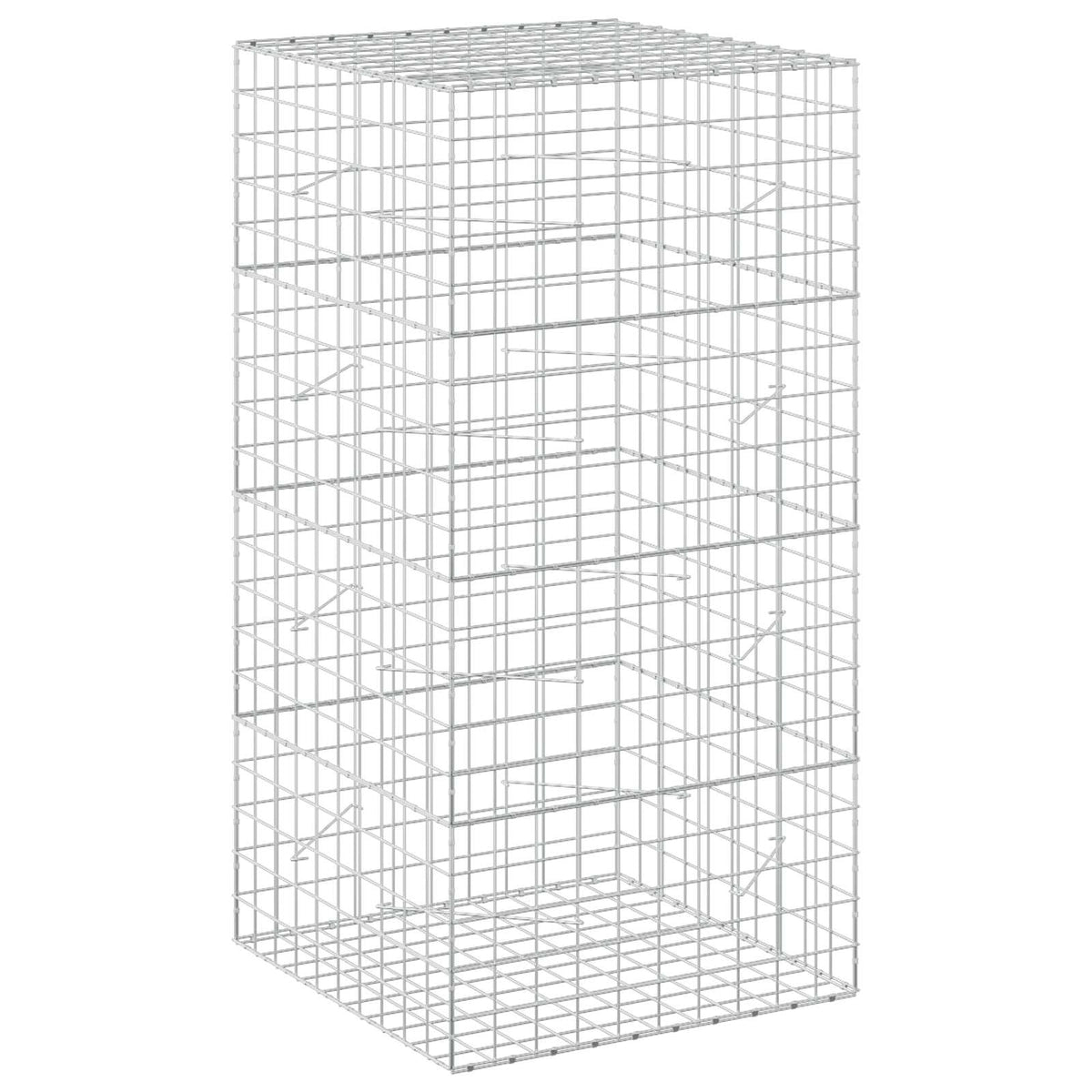 Gabion with 5 mm Wire and 10x10 cm Mesh 100x100x200 cm
