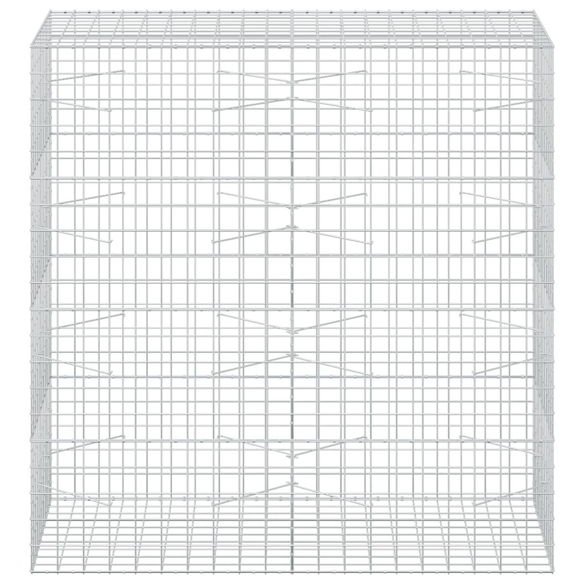 Gabion with 5 mm Wire and 10x10 cm Mesh 200x100x200 cm