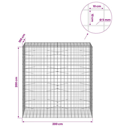 Gabion with 5 mm Wire and 10x10 cm Mesh 200x100x200 cm