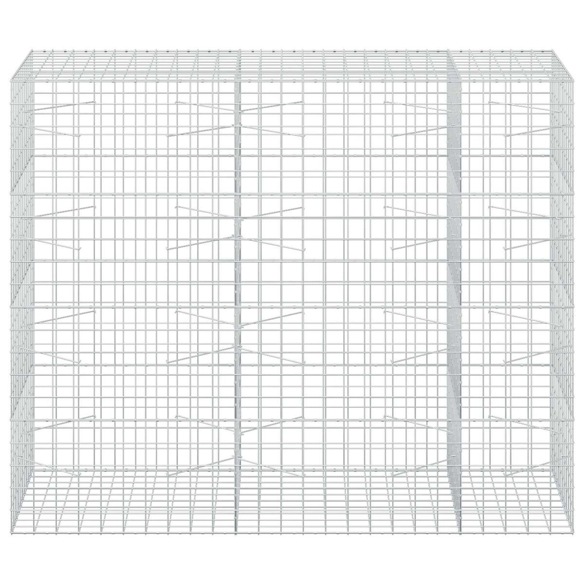 Gabion with 5 mm Wire and 10x10 cm Mesh 250x100x200 cm