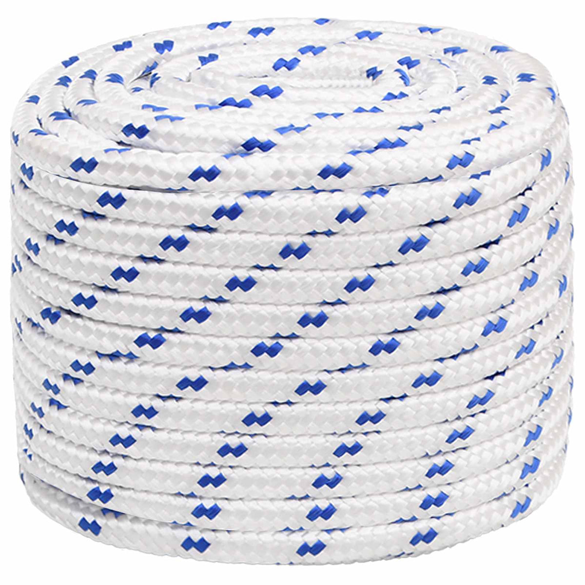 Multipurpose Utility Rope 16 mm 100 m White and Blue PP