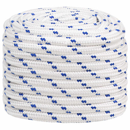 Multipurpose Utility Rope 20 mm 100 m White and Blue PP