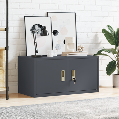 Storage Cabinet Anthracite 80 x 40 x 40 cm Steel