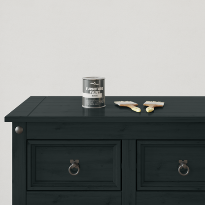 Furniture Paint Black 0.75 L Wall Print